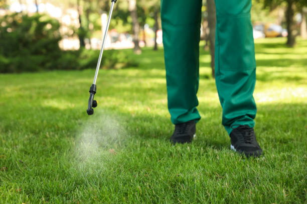 Best Flea Control Services  in Dadeville, AL