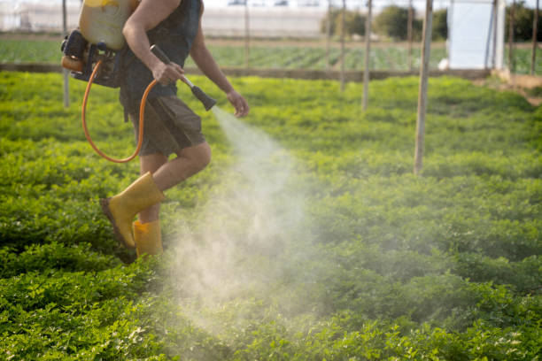 Best Best Pest Control Companies  in Dadeville, AL